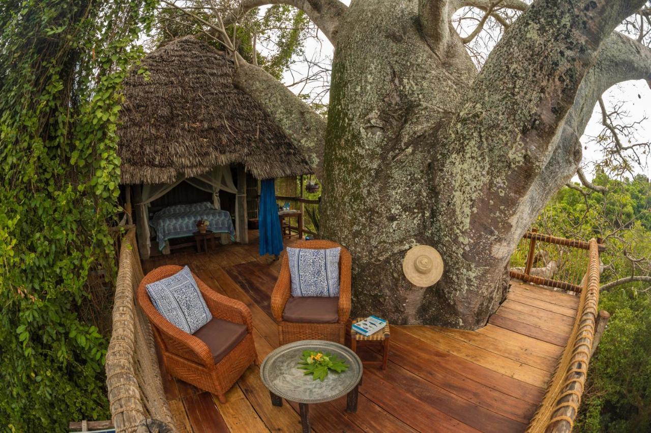 Chole Mjini Treehouses Lodge Utende Экстерьер фото