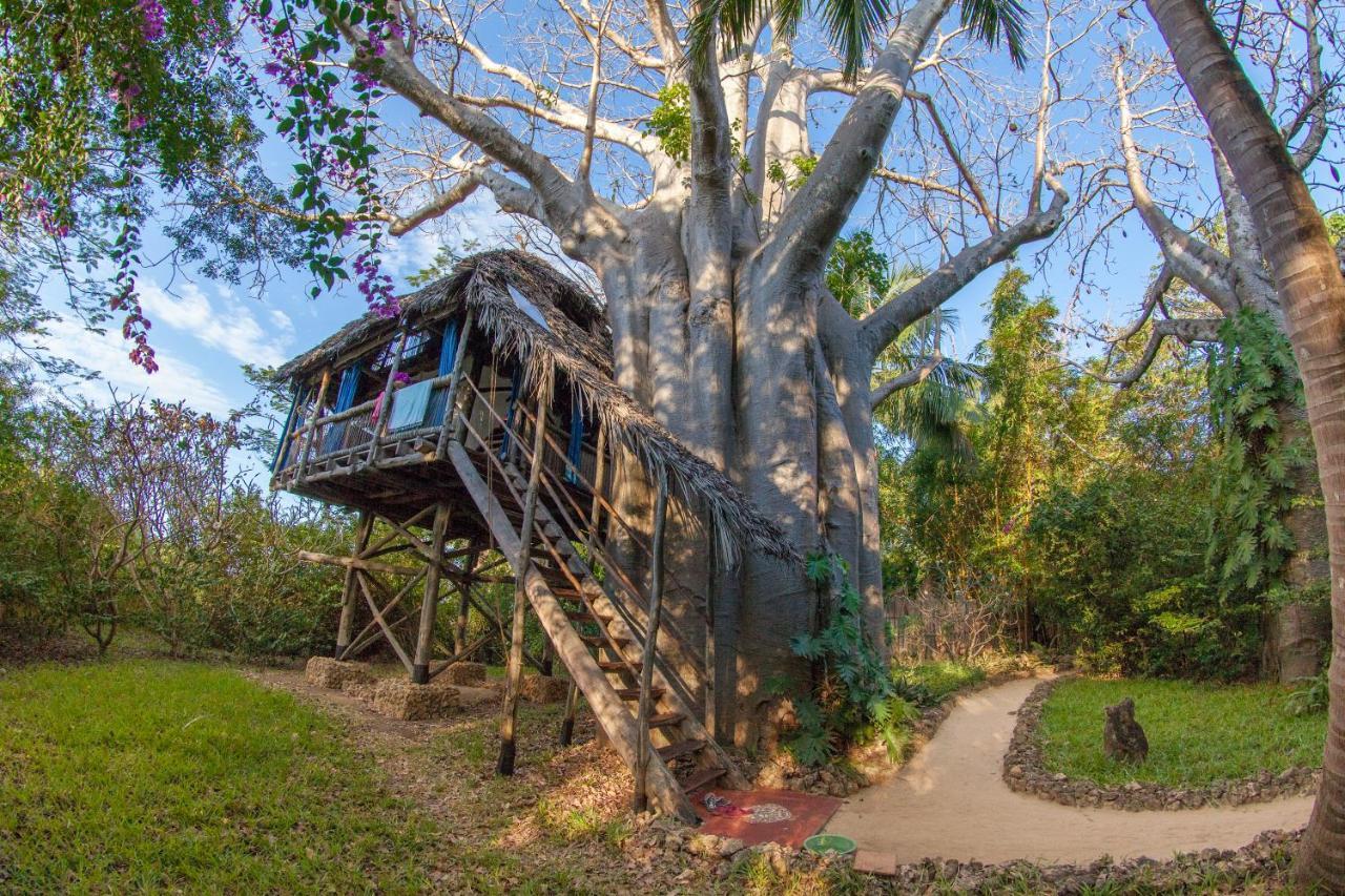 Chole Mjini Treehouses Lodge Utende Экстерьер фото