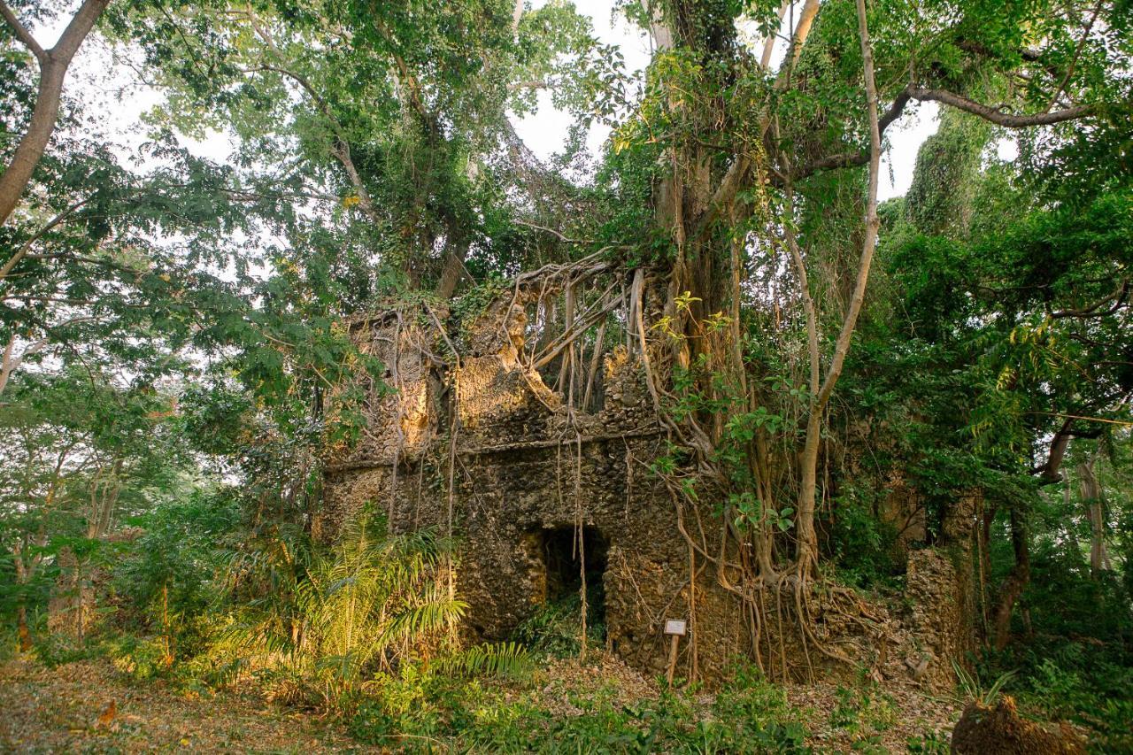 Chole Mjini Treehouses Lodge Utende Экстерьер фото