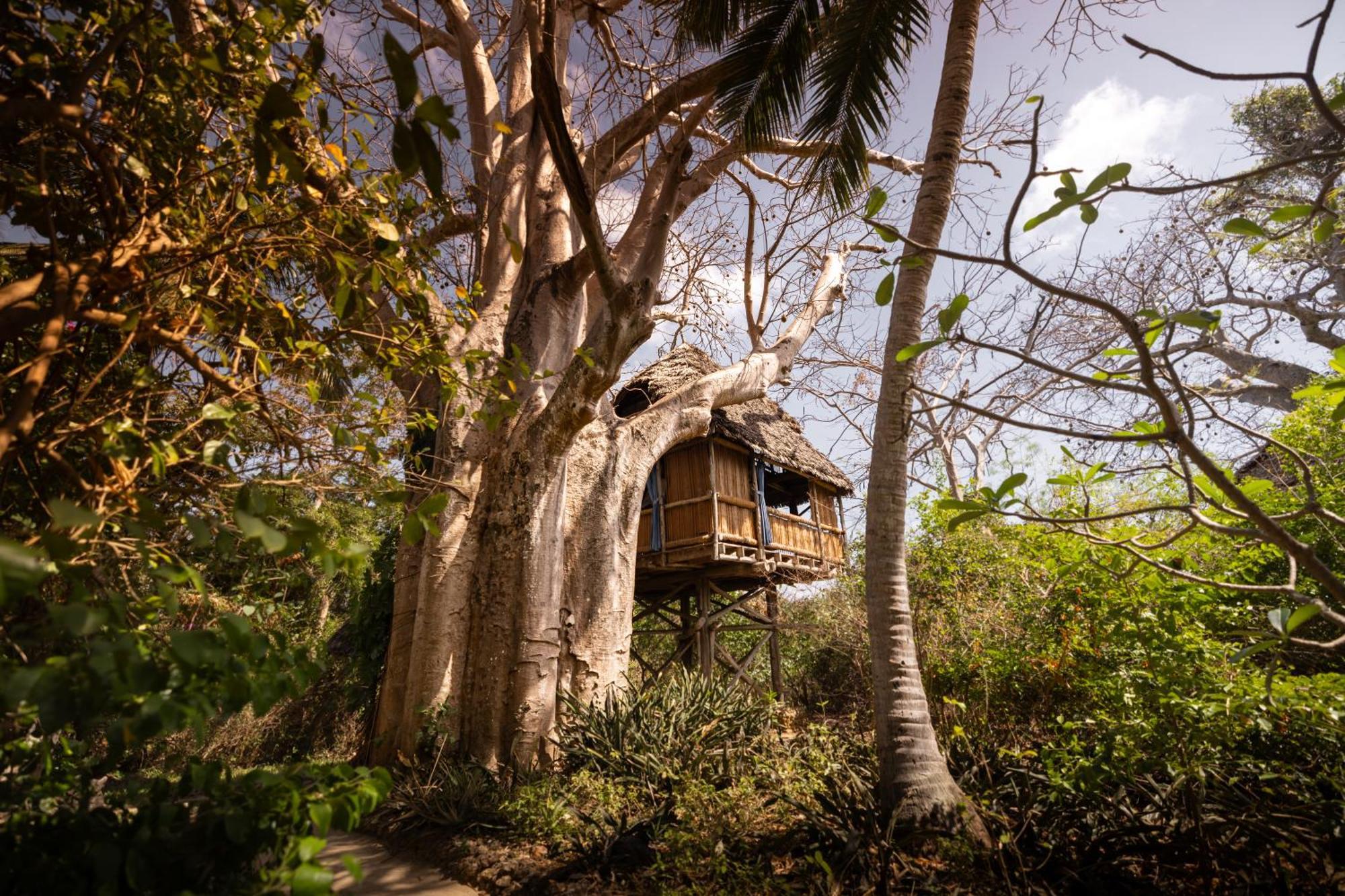 Chole Mjini Treehouses Lodge Utende Экстерьер фото