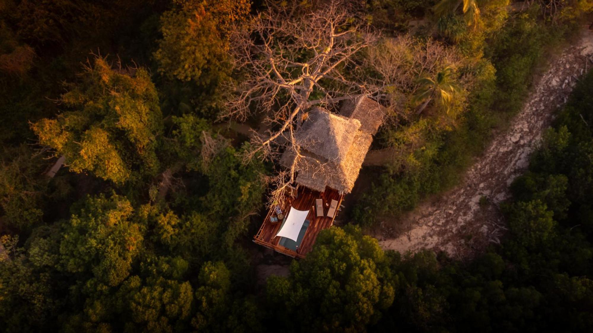 Chole Mjini Treehouses Lodge Utende Экстерьер фото